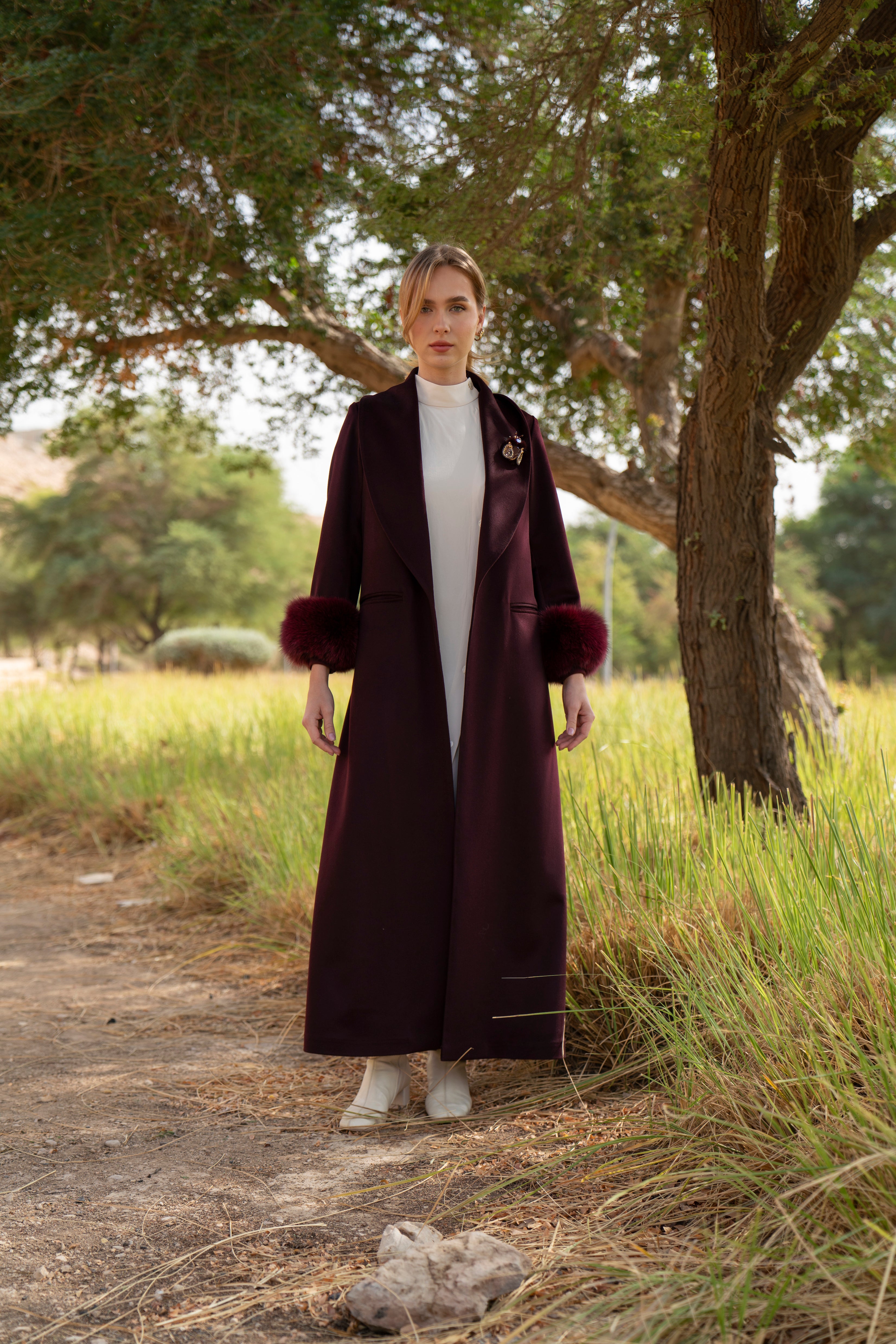 الكشمير الأبدي