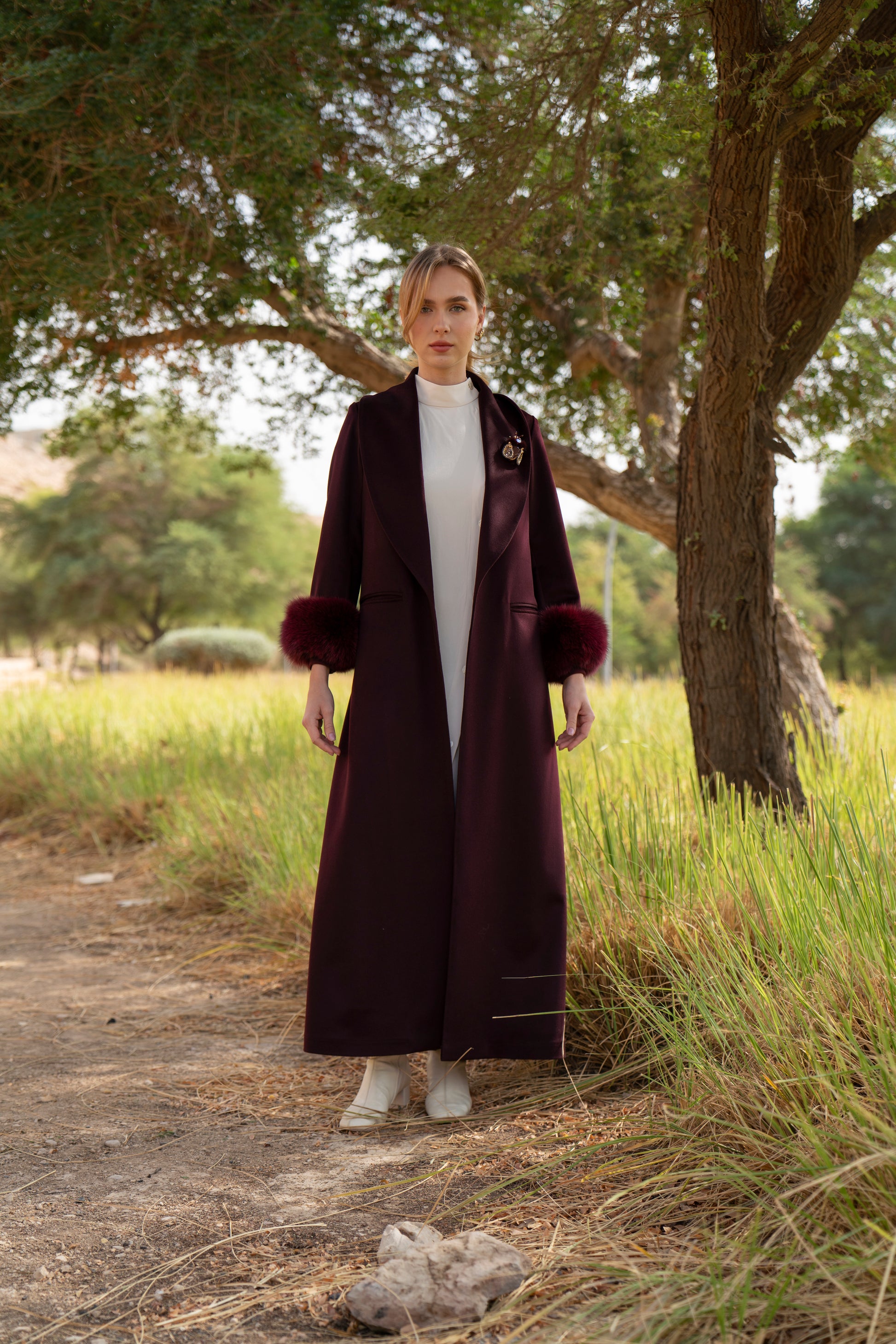 الكشمير الأبدي