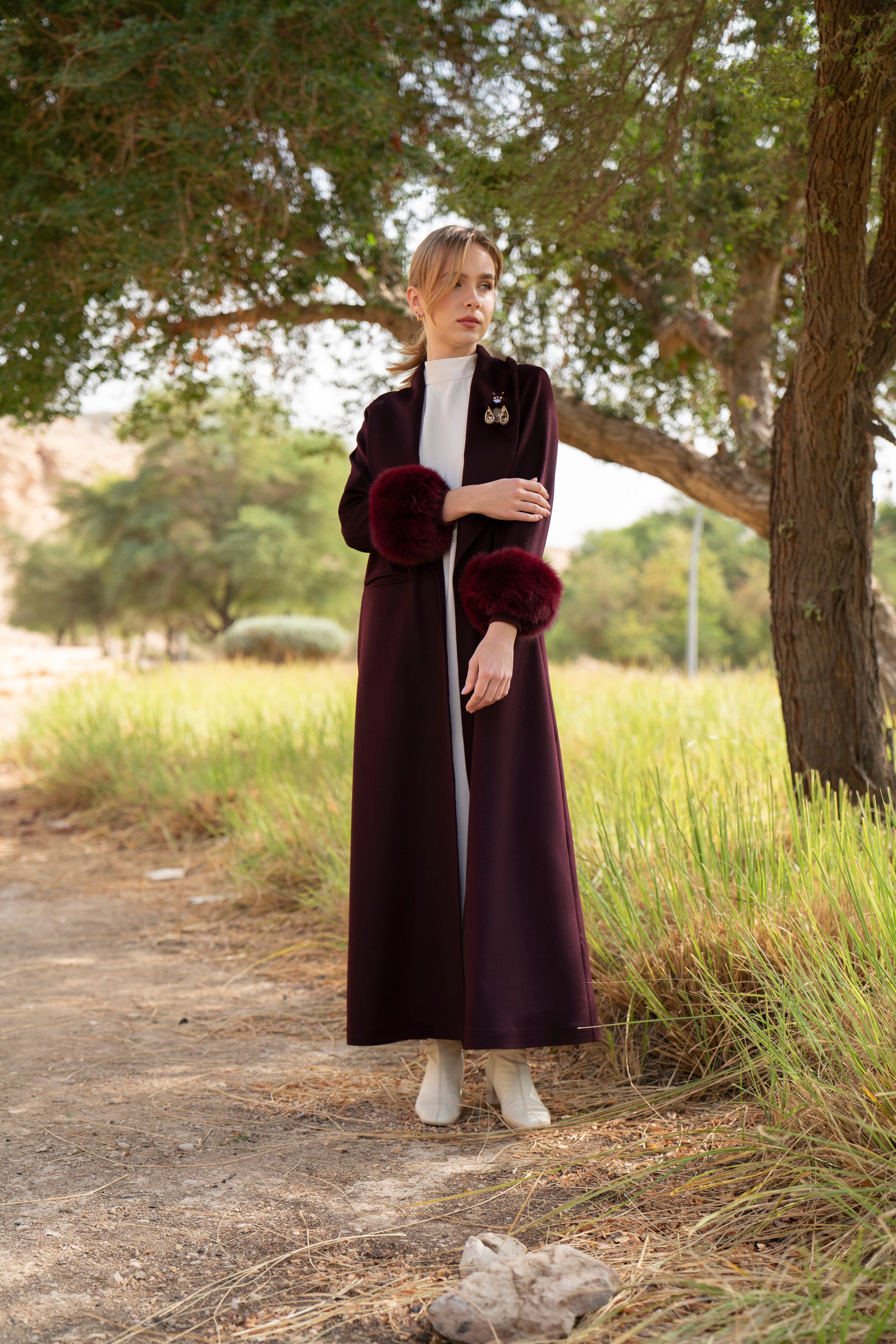 الكشمير الأبدي