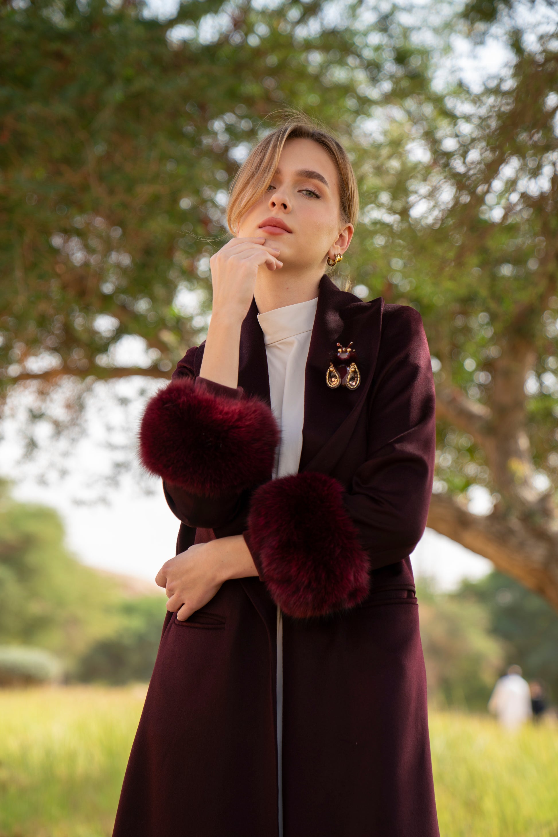 الكشمير الأبدي