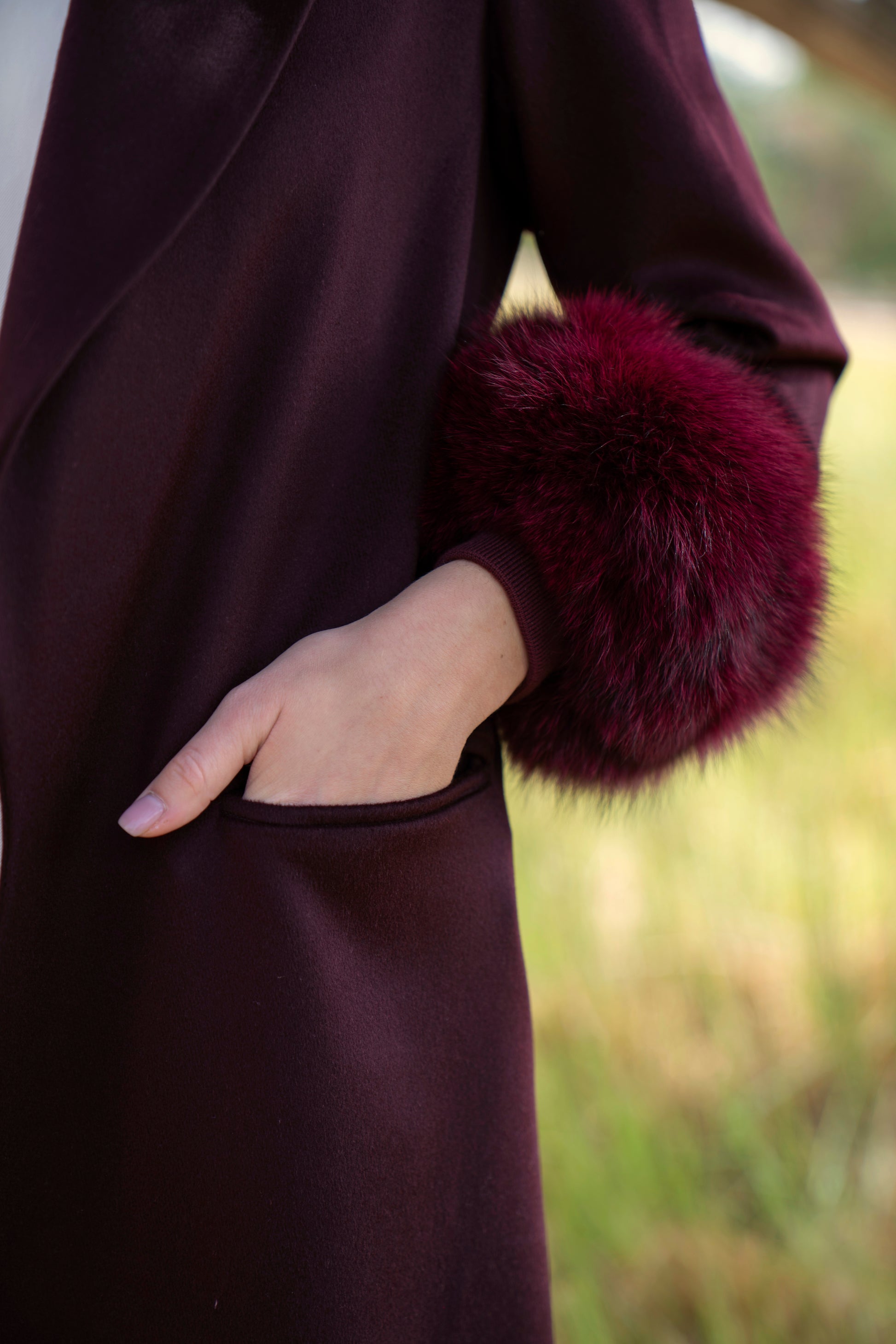 الكشمير الأبدي