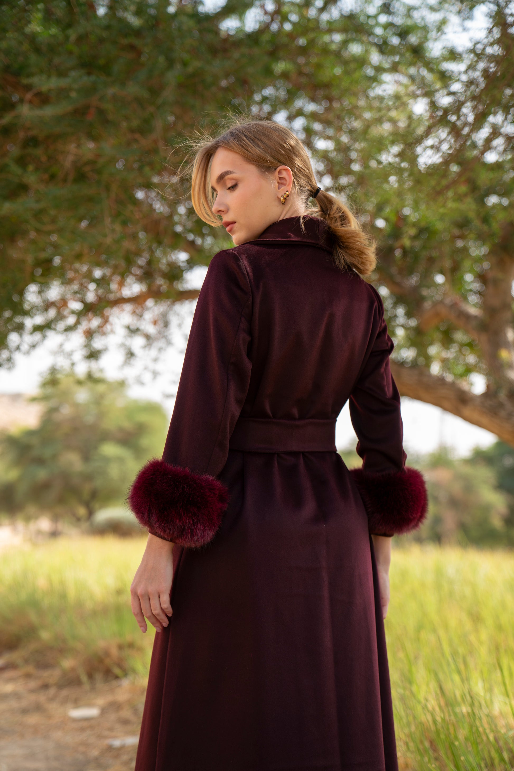 الكشمير الأبدي