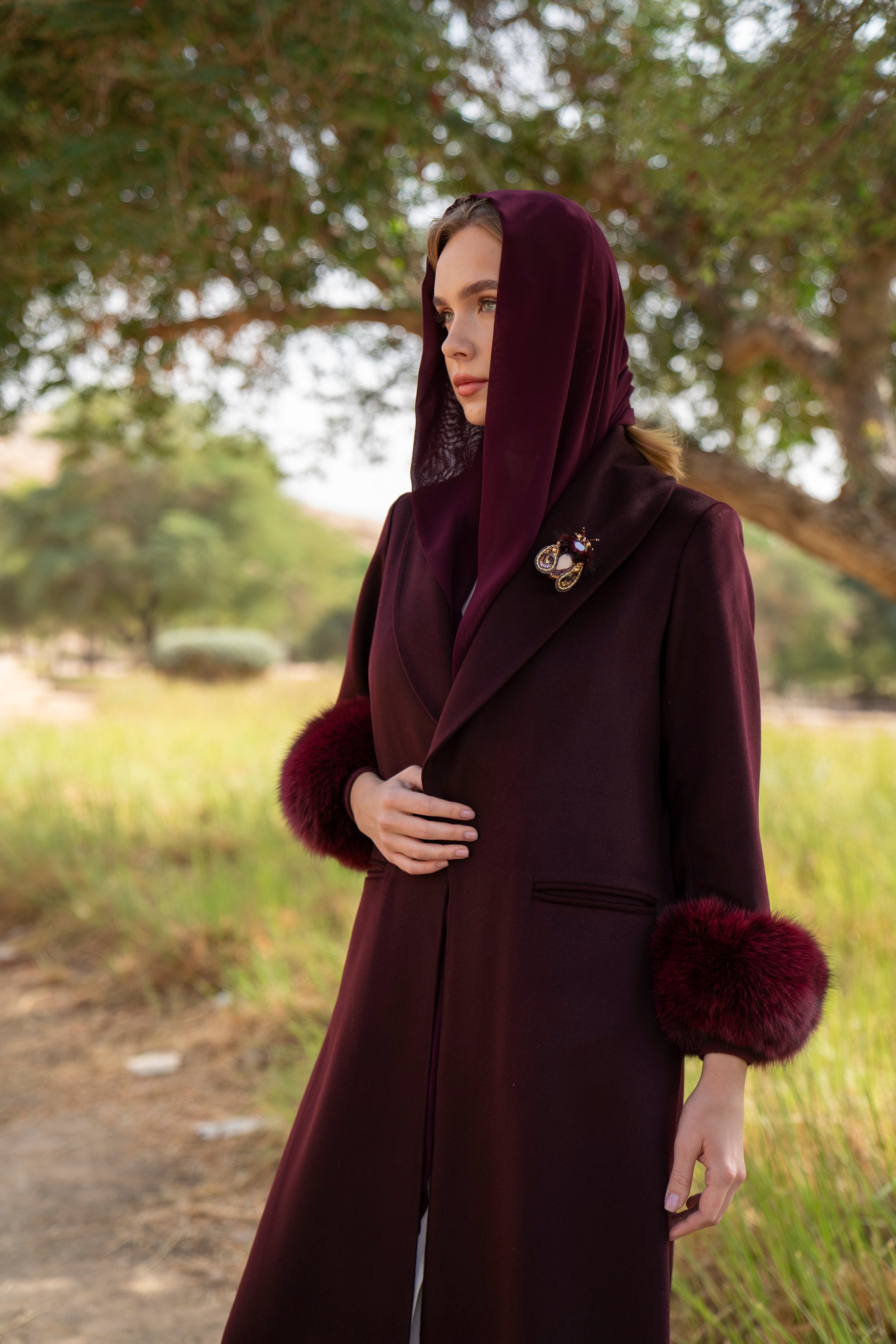 الكشمير الأبدي