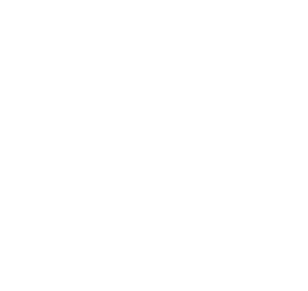 The OA Fashion Store